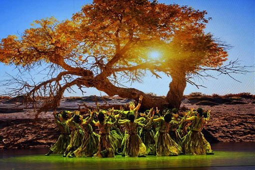 Chine : concours de danse &agrave; Lanzhou (nord-ouest)