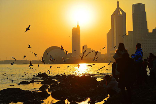 En images: des mouettes dans l'est de la Chine