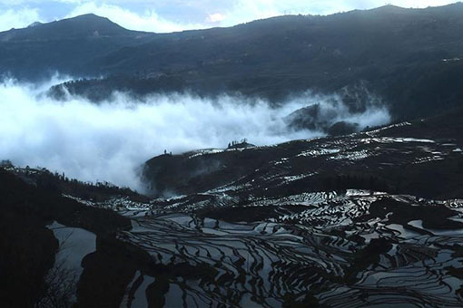 Chine : rizi&egrave;res en terrasse dans le Yunnan