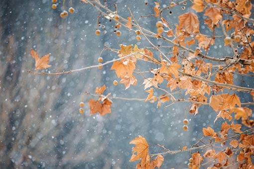 Chine : paysages enneigés en hiver