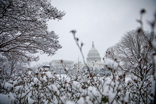 Etats-Unis : neige &agrave; Washington