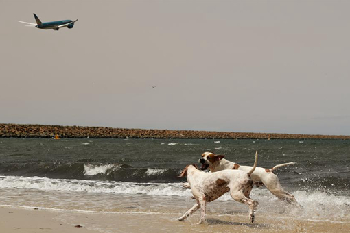 Australie : qualité de l'air à Sydney