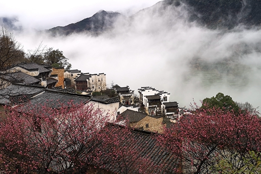 Chine : paysage de Wuyuan