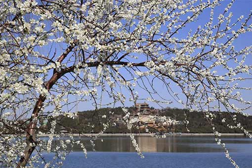 Paysage du Palais d'&eacute;t&eacute; &agrave; Beijing en Chine