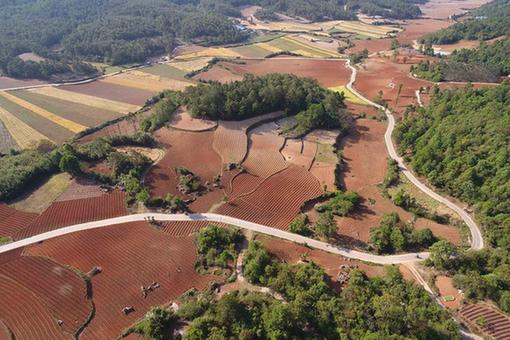 Paysage de champs dans la province du Yunnan