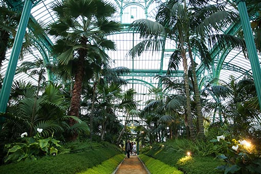 Belgique: les Serres royales de Laeken à Bruxelles