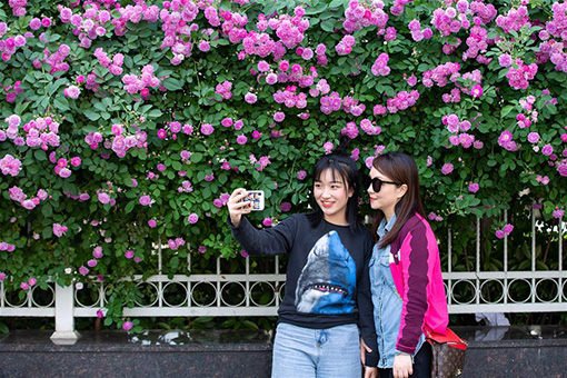 Paysage printanier dans l'est de la Chine