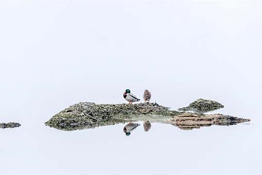 Chine : Parc national des zones humides de Xiaohe au Shanxi