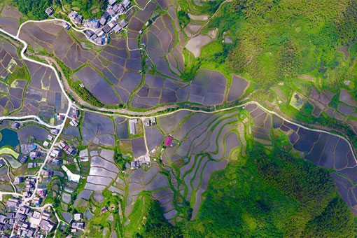 Chine: champs en terrasses dans le sud