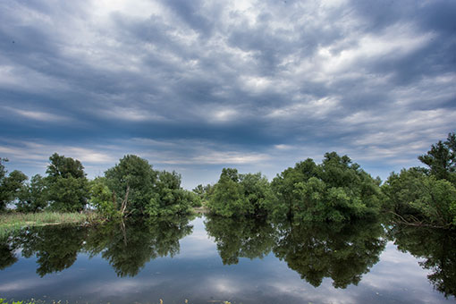 Croatie: paysage du parc naturel Kopacki Rit