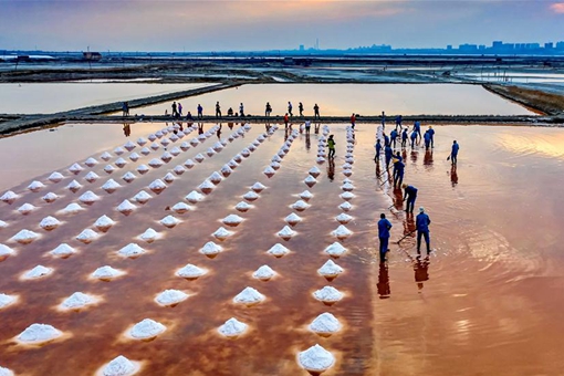 R&eacute;colte du sel dans le nord de la Chine