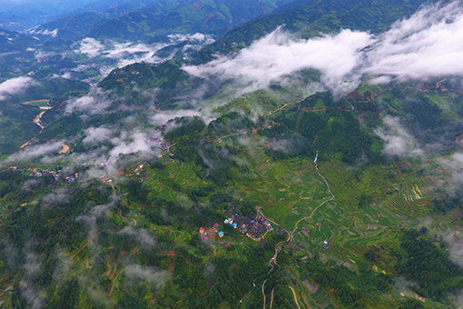 Paysage d'un village dans le sud de la Chine