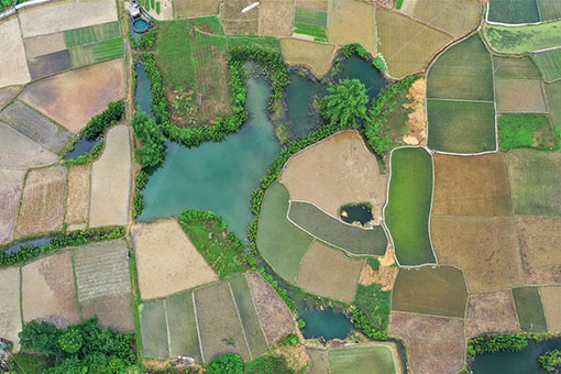 Chine: paysage rural dans le sud