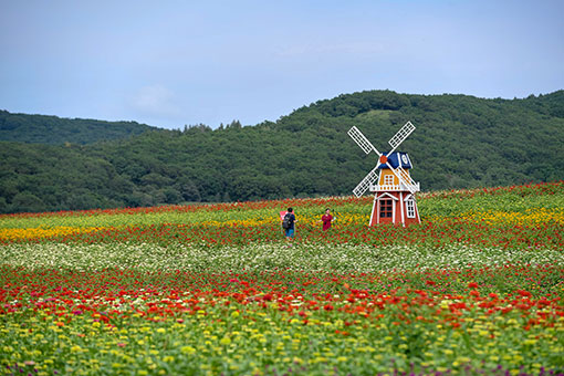 Chine: paysage de fleurs dans un village au Jilin