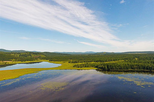 Paysage d'un parc forestier dans le nord de la Chine