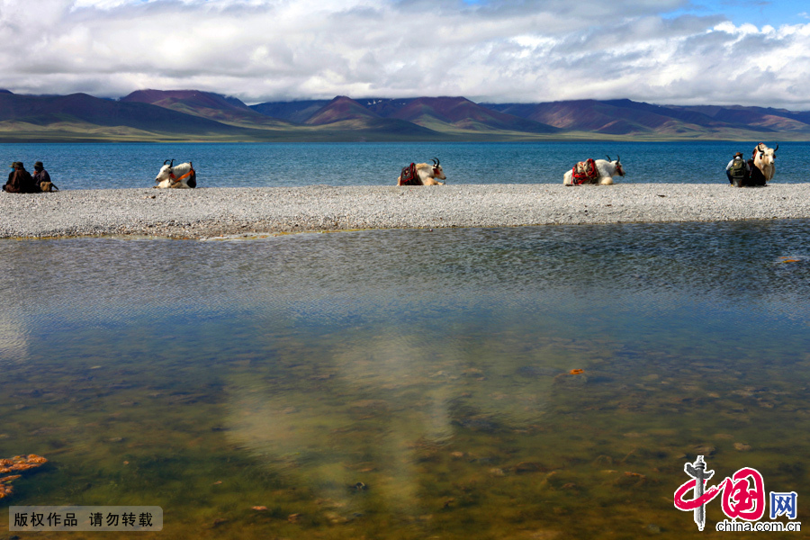 Tibet : Namtso, le  lac cleste 
