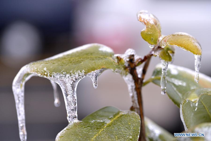 US-WASHINGTON-WEATHER-ICE