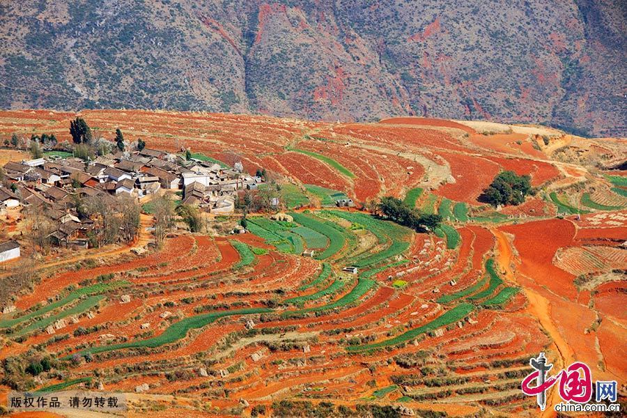 Les clbres champs de terre rouge de Dongchuan, prs du village de Xintian dans la province du Yunnan. 