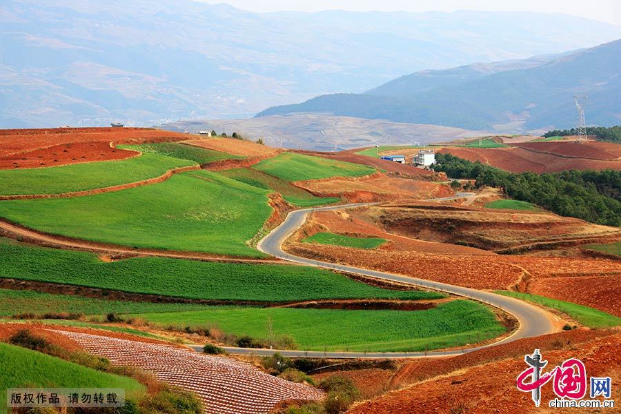 La splendeur des champs de terre rouge dans le Yunnan