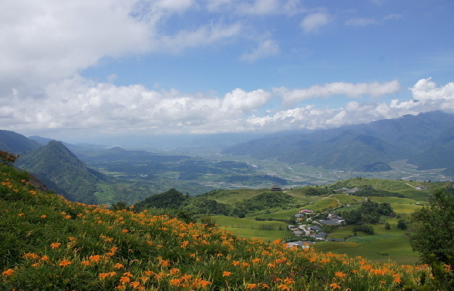 Taiwan, un paradis fleuri en plein hiver