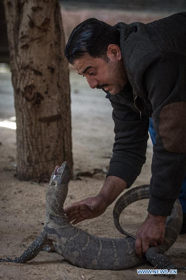 EGYPT-GIZA-ANIMAL 