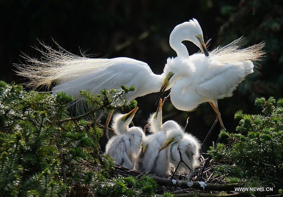 WEEKLY CHOICES OF XINHUA PHOTO