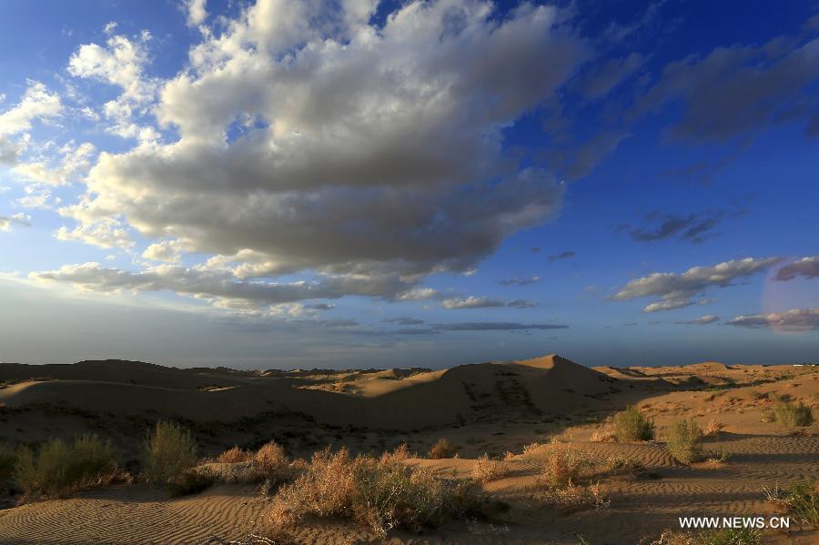 #CHINA-GANSU-TENGGER DESERT-SCENERY(CN)