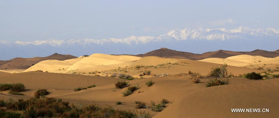 #CHINA-GANSU-TENGGER DESERT-SCENERY(CN)