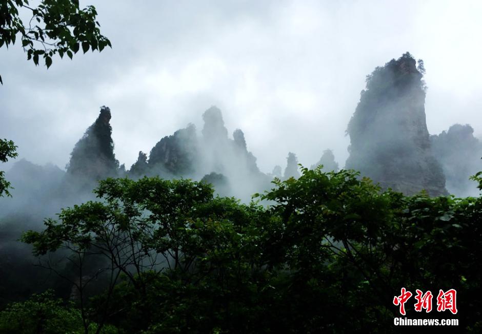 Galerie : la fort d'Avatar de Wulingyuan sous la pluie