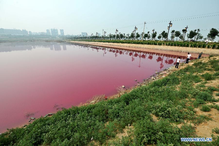 CHINA-SHANXI-YUNCHENG-PINK LAKE (CN)