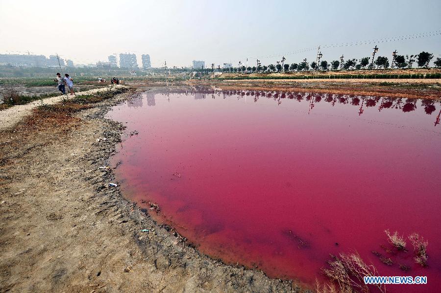 CHINA-SHANXI-YUNCHENG-PINK LAKE (CN)