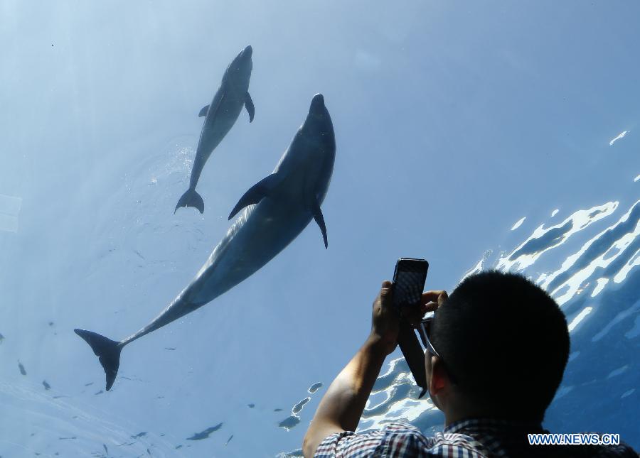 JAPAN-KANAGAWA-DOLPHIN