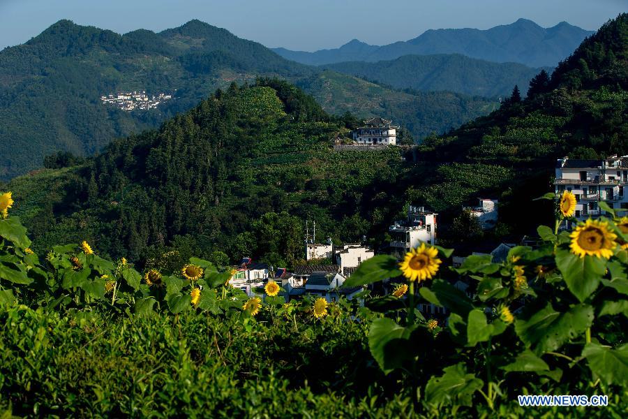 #CHINA-ANHUI-SHITAN-SCENERY (CN)