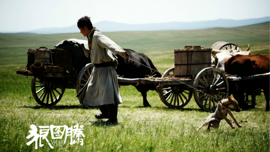Le film sino-franais Le Dernier loup en route pour les Oscars