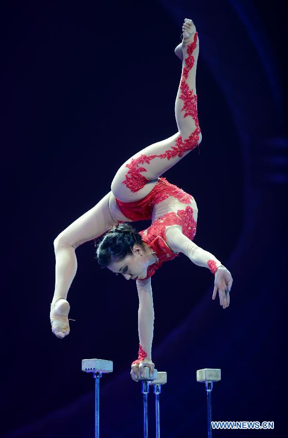 CHINA-HEBEI-SHIJIAZHUANG-WUQIAO CIRCUS FESTIVAL (CN) 