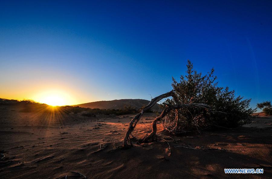 CHINA-INNER MONGOLIA-BADAIN JARAN DESERT (CN)