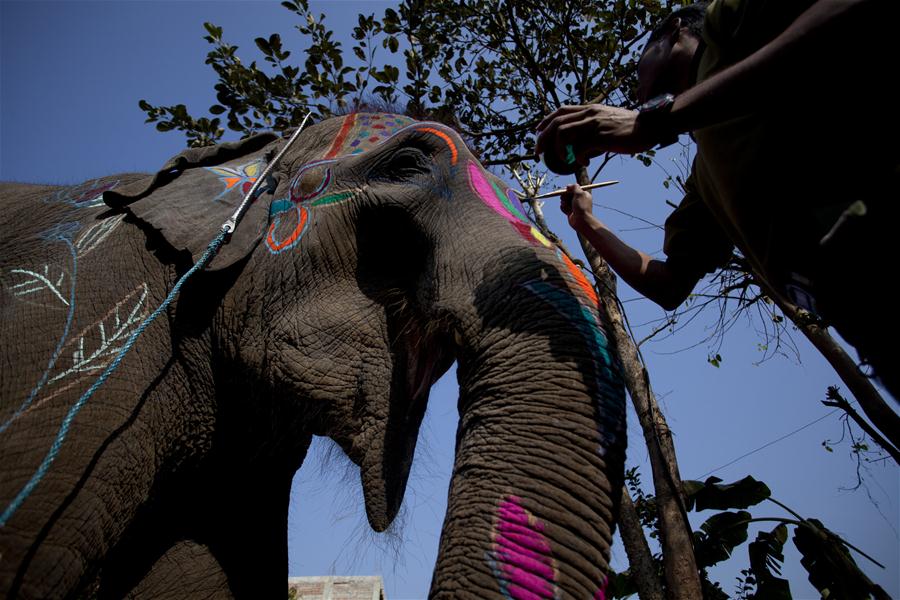 NEPAL-CHITWAN-ELEPHANT BEAUTY CONTEST