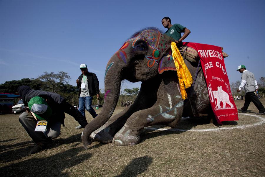 NEPAL-CHITWAN-ELEPHANT BEAUTY CONTEST