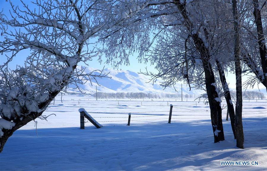 #CHINA-XINJIANG-RIME SCENERY (CN)