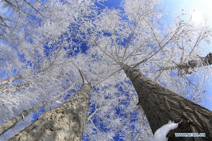 #CHINA-XINJIANG-RIME SCENERY (CN)