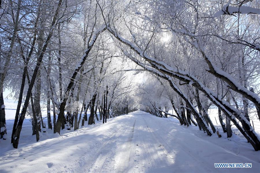 #CHINA-XINJIANG-RIME SCENERY (CN)