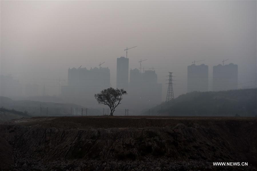 WEEKLY CHOICES OF XINHUA PHOTO