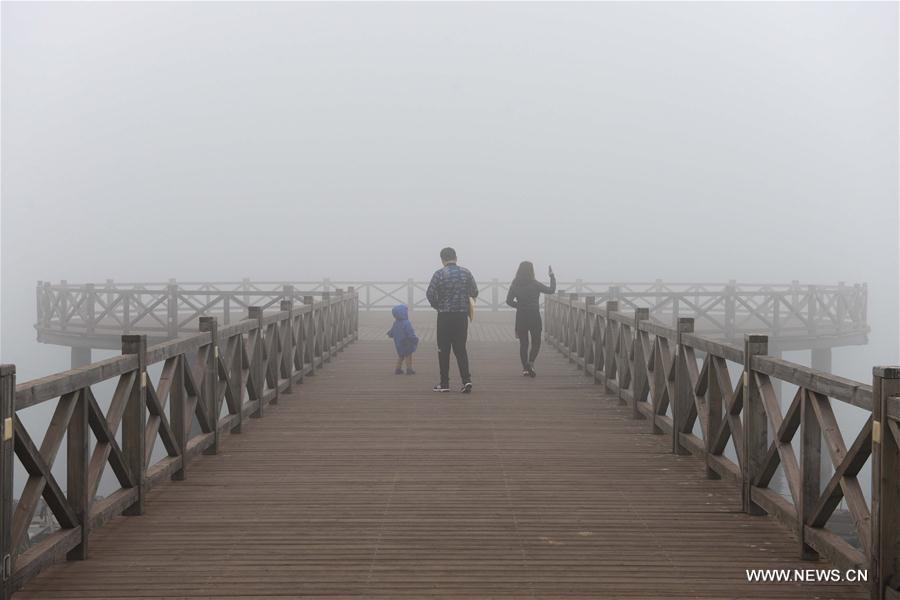 WEEKLY CHOICES OF XINHUA PHOTO