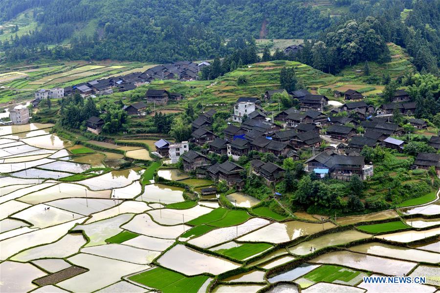 Paysage idyllique au Guizhou