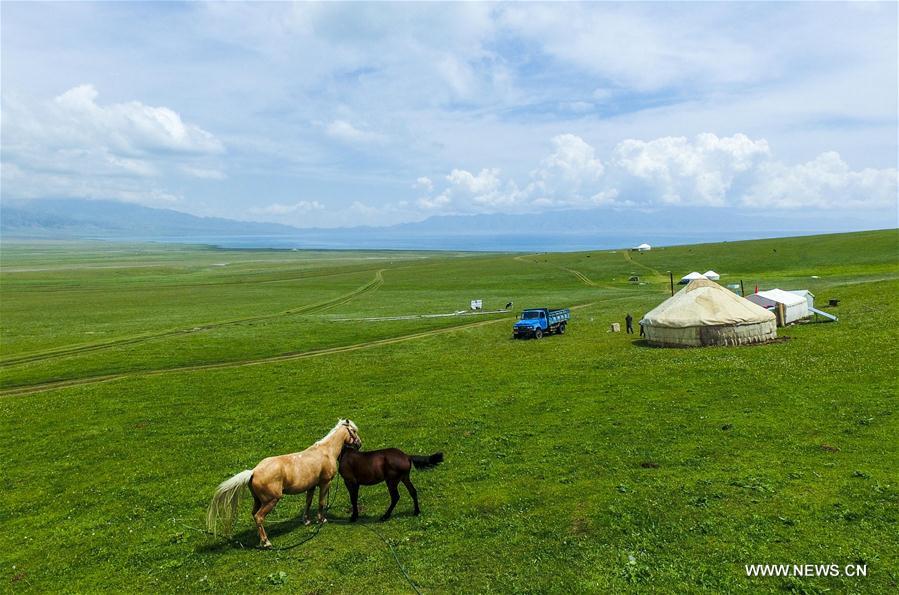 Paysages du lac Sayram au Xinjiang 