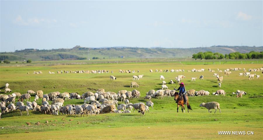 Tourisme dans la région autonome de Mongolie intérieure