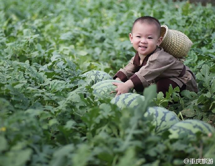 Un  Bb Melon  dclenche une vague de douceur et de gentillesse en ligne