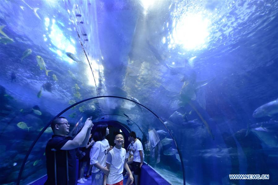 Chine : aquarium à Fuzhou