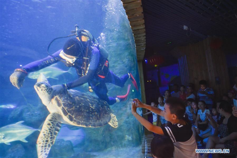 Chine : aquarium à Fuzhou