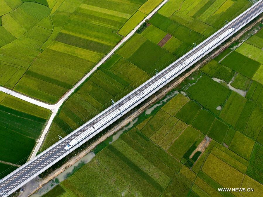 Train à grande vitesse dans le sud de la Chine